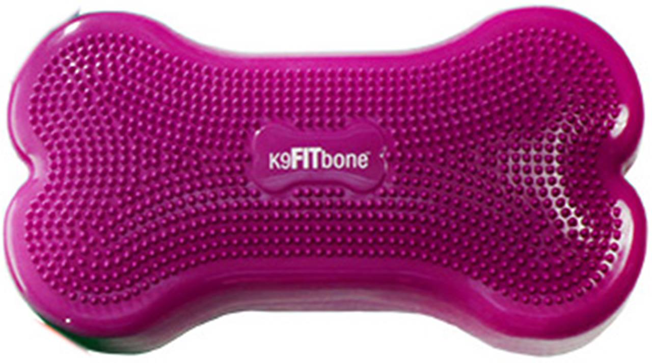 K9FITbone -58 x 29 x 10 cm, Razzleberry